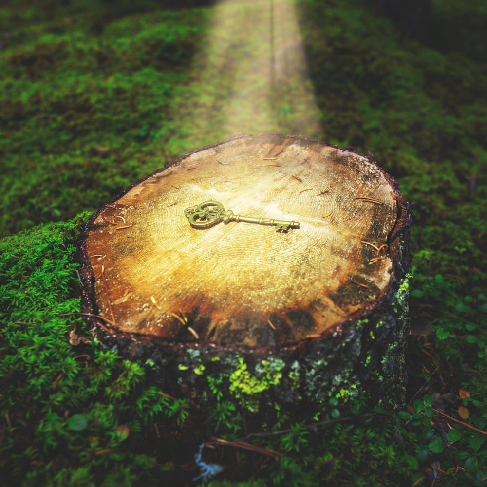 Unlock secrets of biblical herbs and how it can save your skin.