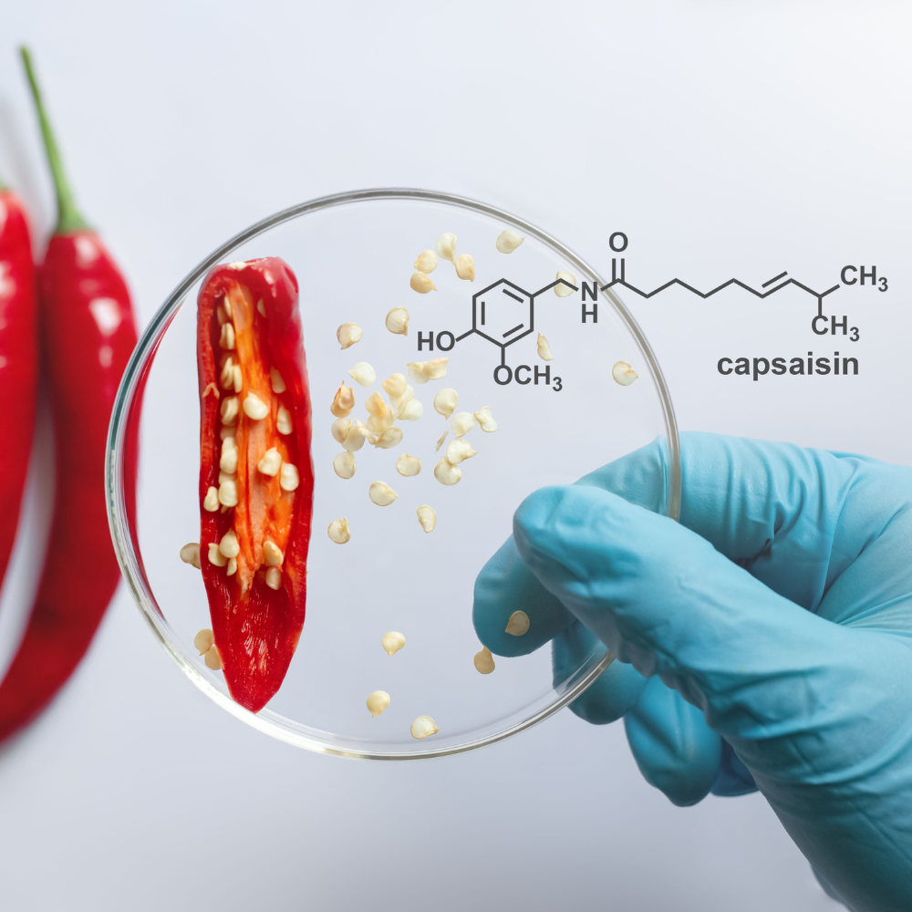 Capsaicin: The Fiery Molecule That Turns Pain Off
