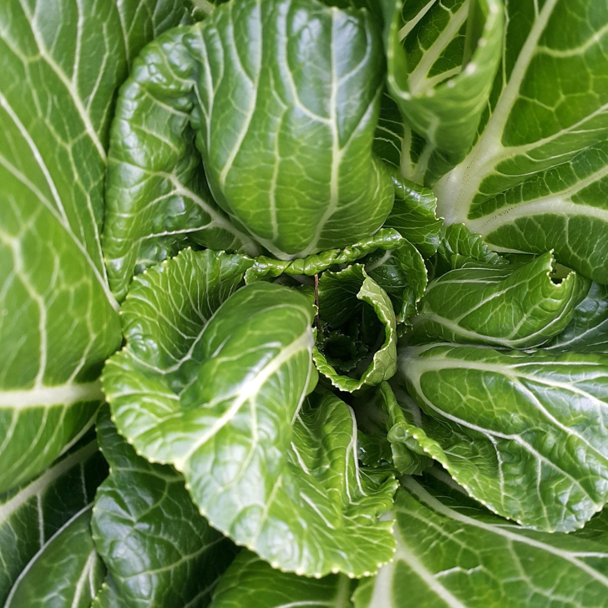 vegetables for good skin health