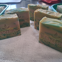 Blue Agave Sugar Bar Soap